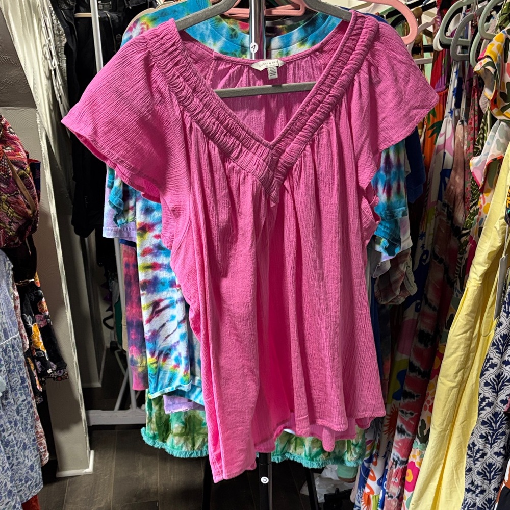 Lucky Brand Pink Blouse with Ruffle Sleeves